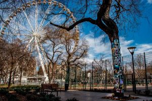 Michael Jackson memorial tree in Budapest